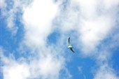 08_06 (22)